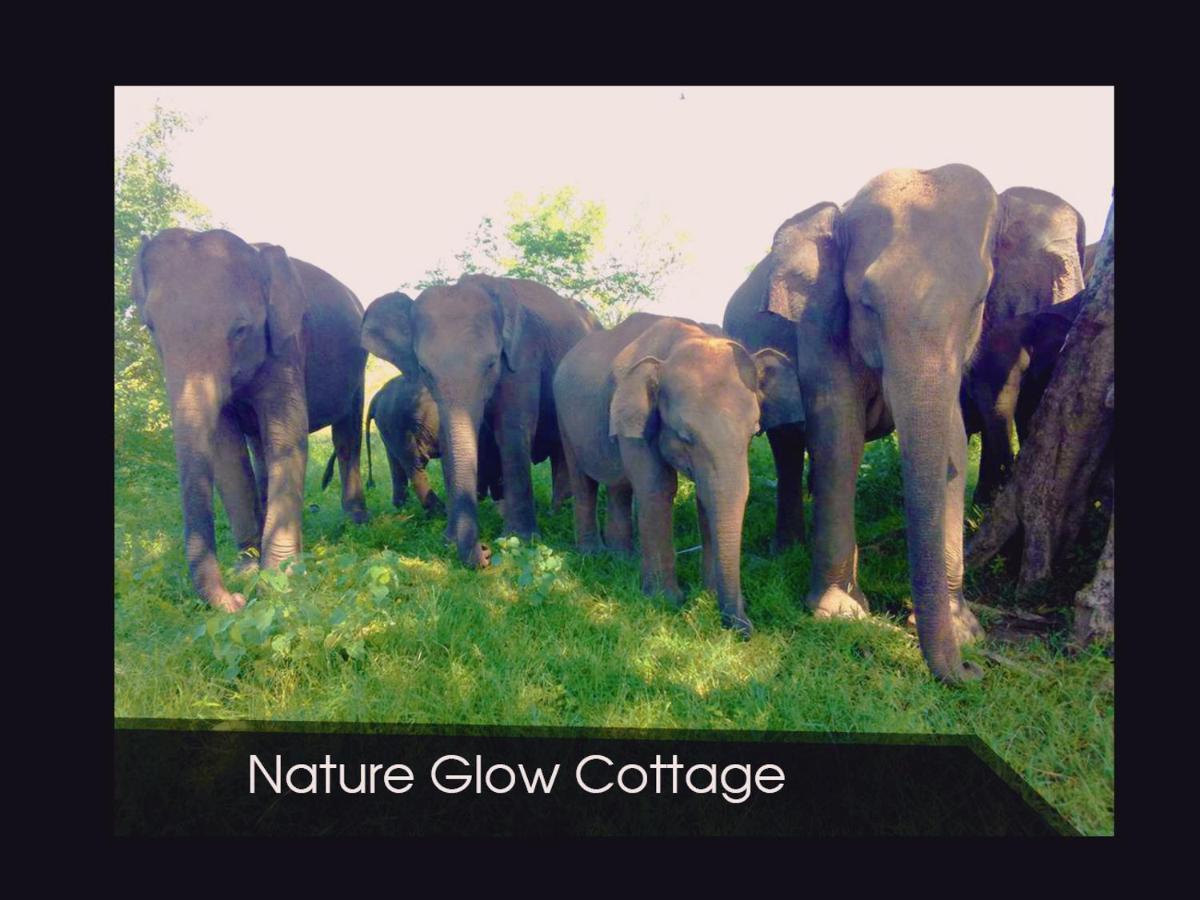 Nature Glow Cottage Uda Walawe Extérieur photo